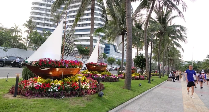 The flower street runs on a road section between Vo Van Kiet and Vo Nguyen Giap avenues along the beach in Da Nang City (Photo: SGGP) dsc08729-7555-5366.jpg