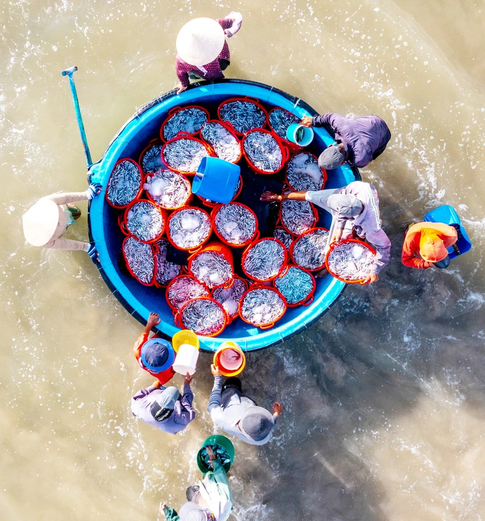 The basket boat brings the freshly caught fish back to shore. ps13-3275-6417.jpg