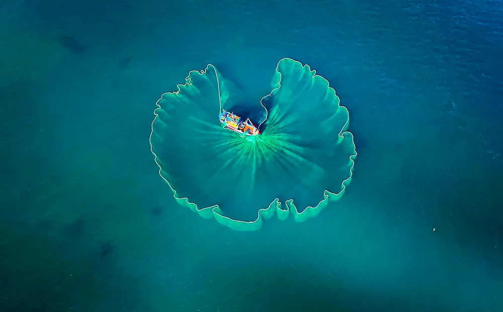 The fishing net spreads out like a giant lotus leaf on the surface of the sea. ps7-2775-6952.jpg