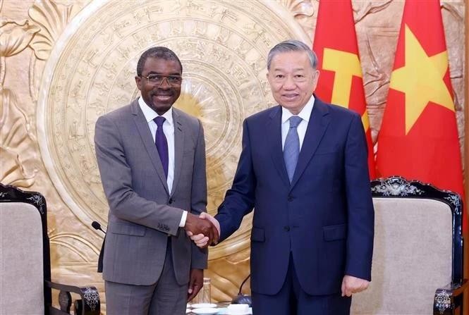 Party General Secretary To Lam (R) hosts a reception for Lazare Eloundou Assomo, Director of the UNESCO World Heritage Center. (Photo: VNA) party-chief.jpg