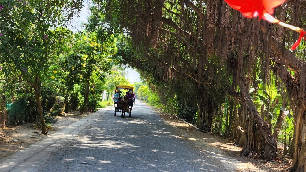 Travelers embark on a captivating horse-drawn carriage ride, seeing the region's picturesque countryside. dl8.jpg