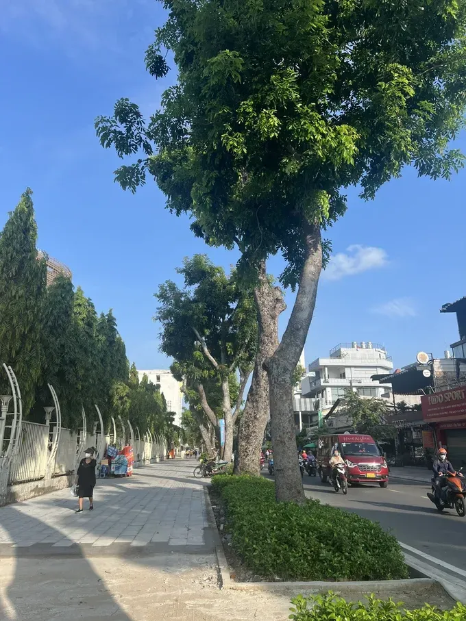 The People’s Committee District 11 announces the completion of a project to repair and renovate sidewalks along Le Dai Hanh, Nguyen Thi Nho, and Lu Gia streets. (Photo: SGGP) 27b-6752-2070.jpg