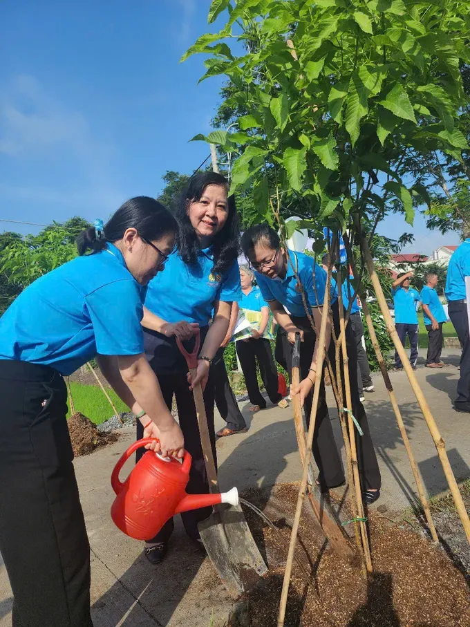 Delegates plant golden bell trees on a road. (Photo: SGGP) z6672996228595-d915983d4036ea778801376c2a053d04-8770-380.jpg