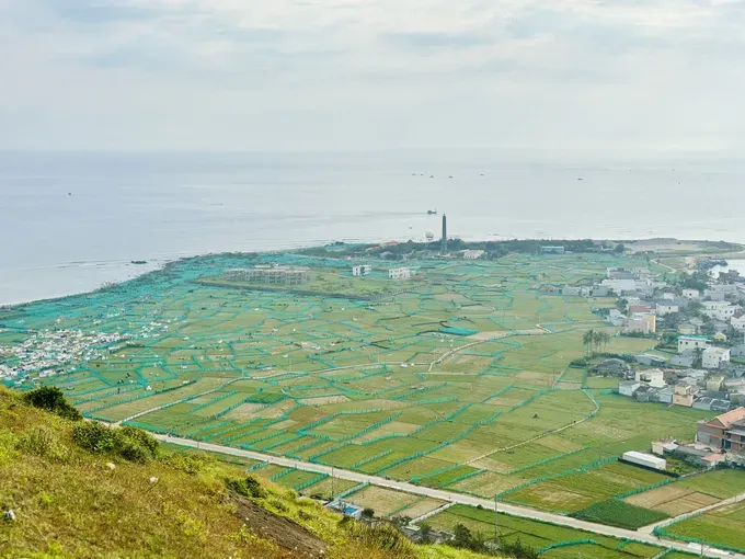 Terraced fields on Ly Son Island (Photo: SGGP) fba80e191baeacf0f5bf-627-8643.jpg