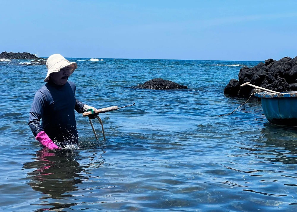 Fishermen only use an axe fitted with a sharp metal spike to pry sea urchins. After gathering the urchins, they haul large nets brimming with their catch back to shore. 12.jpg