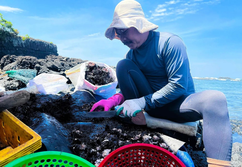 Fisherman Nguyen Van Dao starts processing sea urchins. 20.jpg