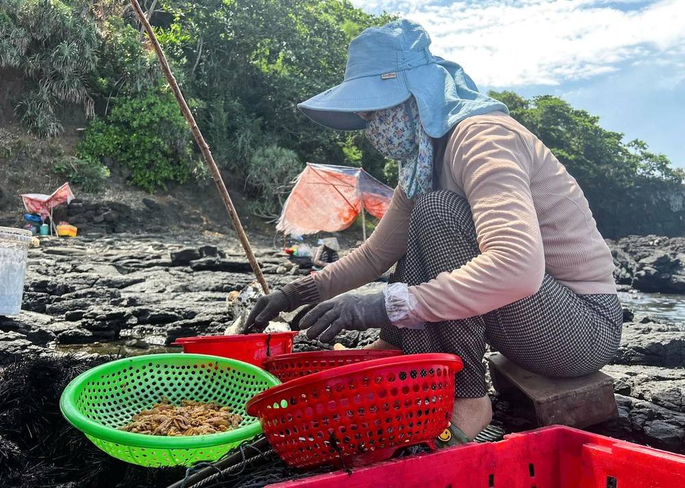 Local women carefully scoop out the sea urchin roe. 27.jpg