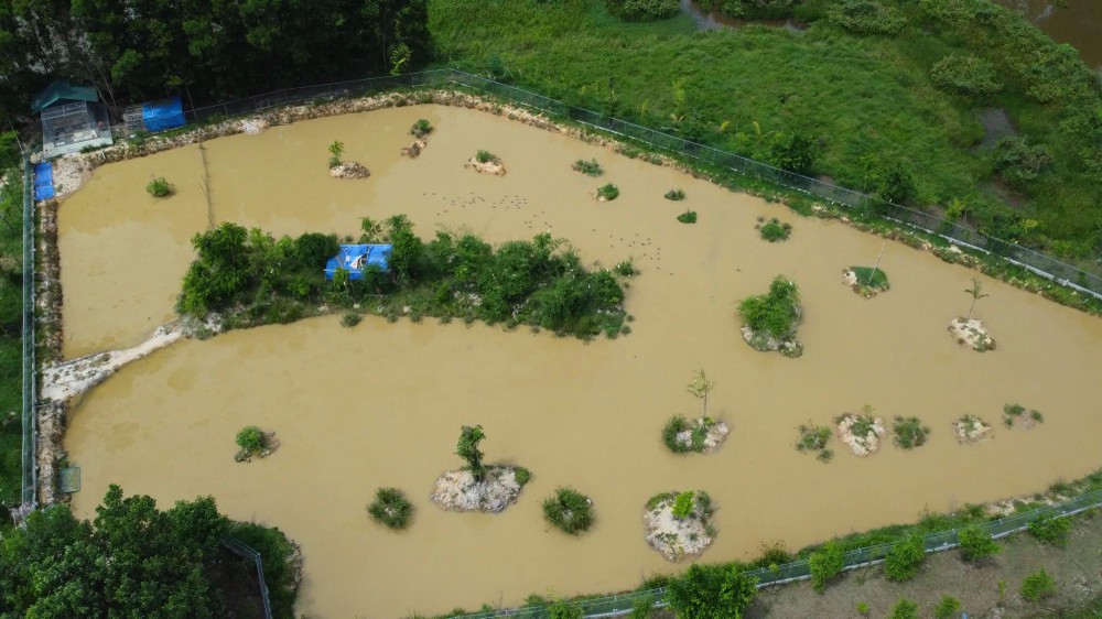 Artificial islands have become sanctuaries for migratory birds. vườn chim.jpg