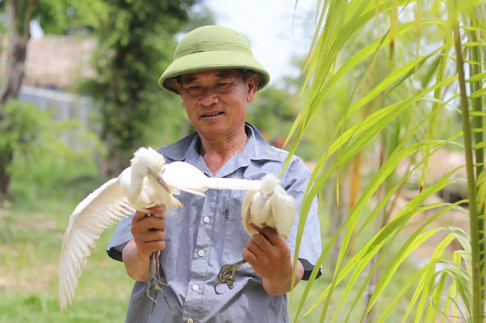 Mr. Hoang Van Nam, a caretaker of the bird sanctuary vườn chim12.jpg