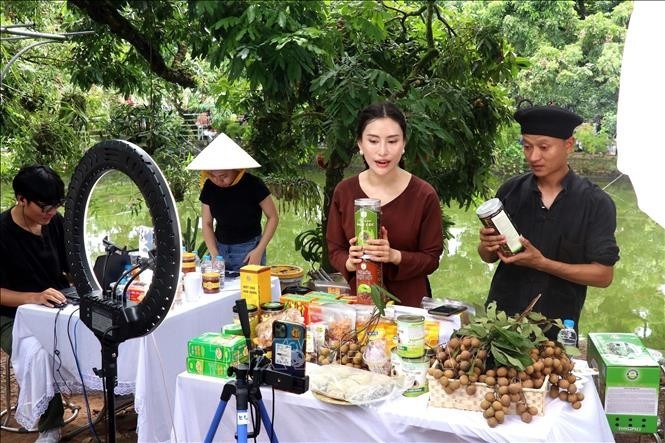 Content creators help farmers in Hung Yen province promote and sell longan and OCOP agricultural products on TikTok. (Photo: VNA) ocop-1.jpg