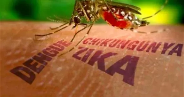Chikungunya is a viral disease caused by the Chikungunya virus and transmitted to humans through the bite of Aedes albopictus mosquitoes. 1-1478-3854.png