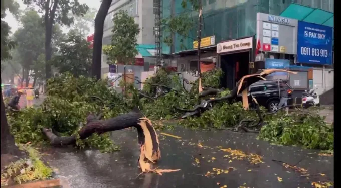 HCMC steps up response to infrastructure incidents during rainy and stormy season. (Photo: SGGP) 12-cay-nga-8647-4950.jpg