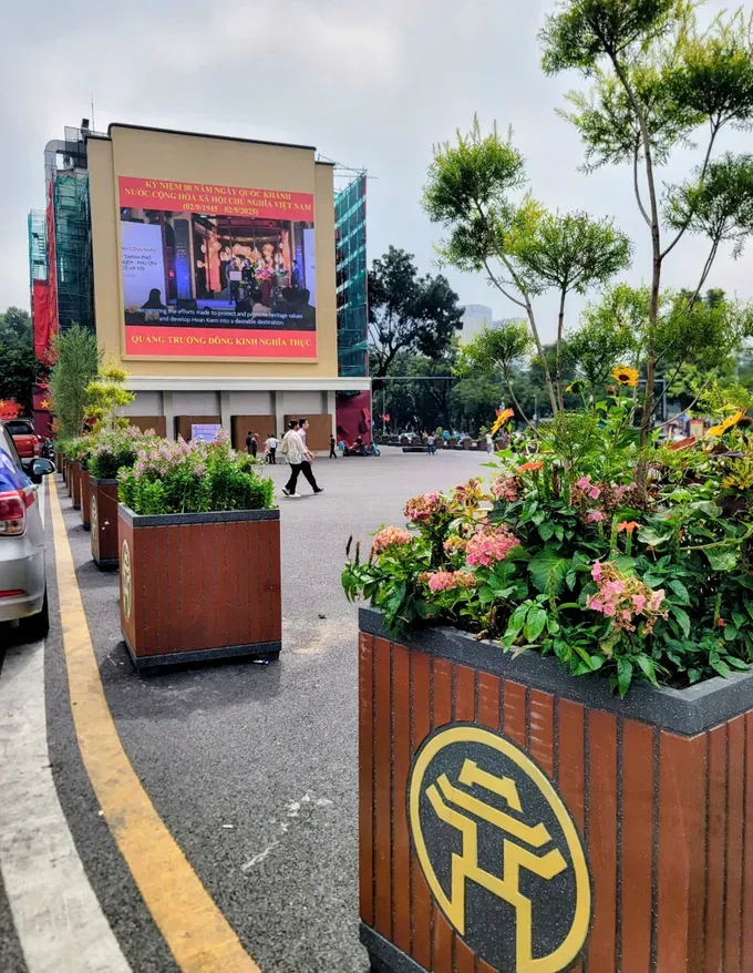 Rows of trees have been newly planted, serving as natural separators between traffic lanes. z6995745148582-ef5ed9c9a33bce73398c3689ce92838b-806-9099.jpg