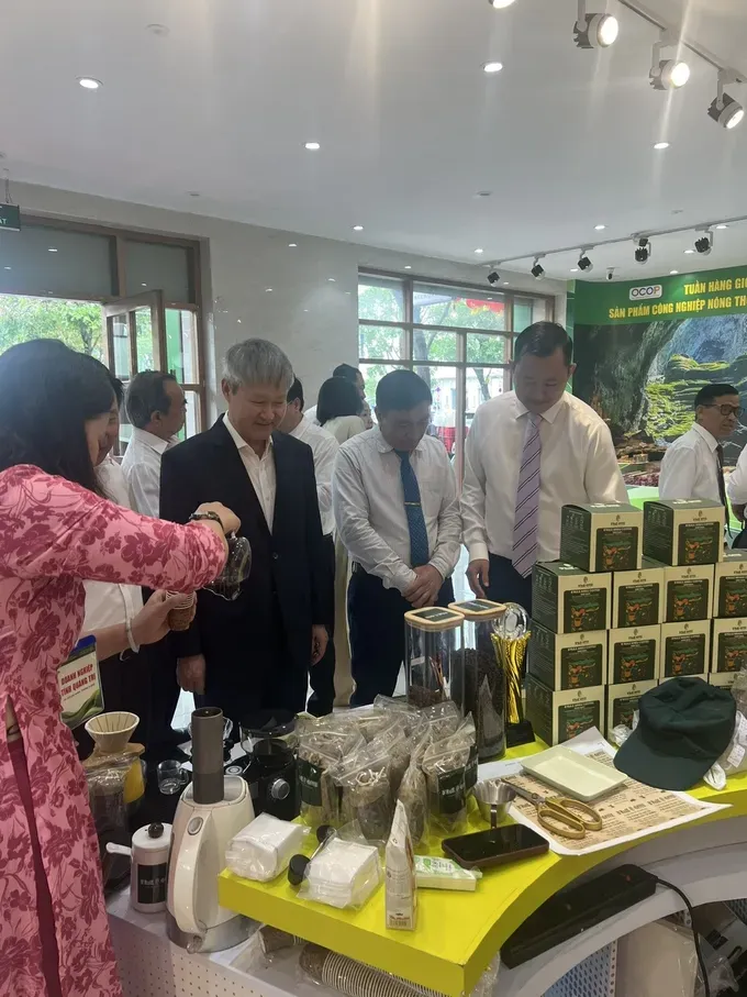 Around 100 One Commune One Product (OCOP) goods from Quang Tri Province are introduced to consumers in Ho Chi Minh City z7048620581821-58ede0cdc663bdbfa5f20afac1c13718-6367-3199.jpg