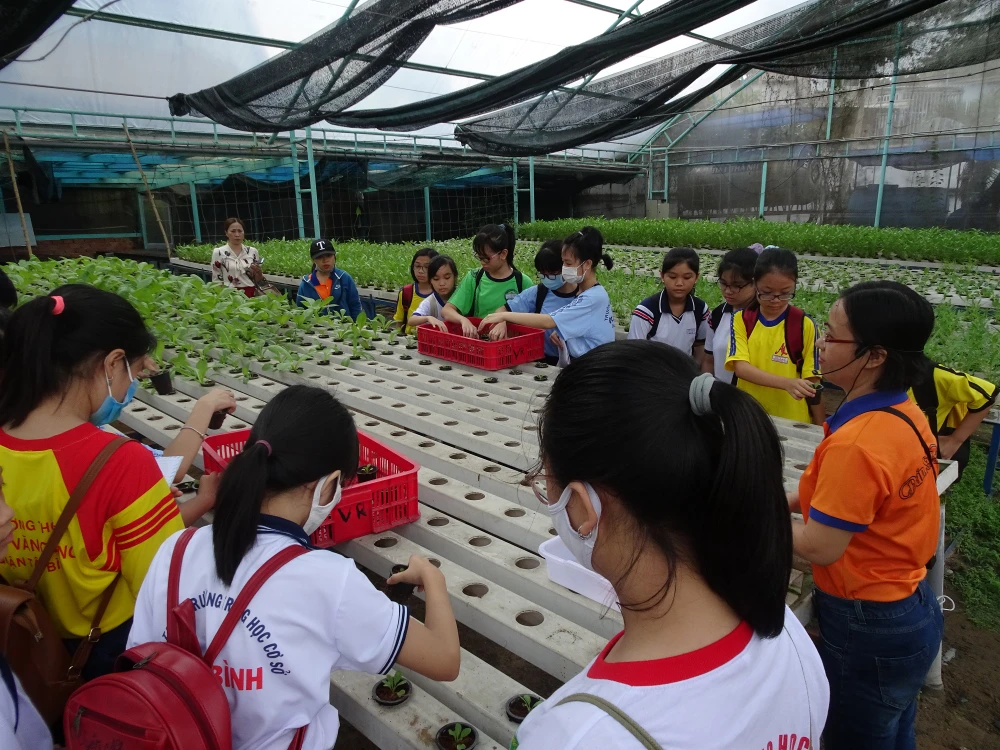 Học sinh hào hứng trải nghiệm trồng rau, chăm sóc thú qua Cuộc thi “Văn hay chữ tốt” do quận Tân Bình tổ chức ảnh 4 Học sinh hào hứng trải nghiệm trồng rau, chăm sóc thú qua Cuộc thi “Văn hay chữ tốt” do quận Tân Bình tổ chức ảnh 4