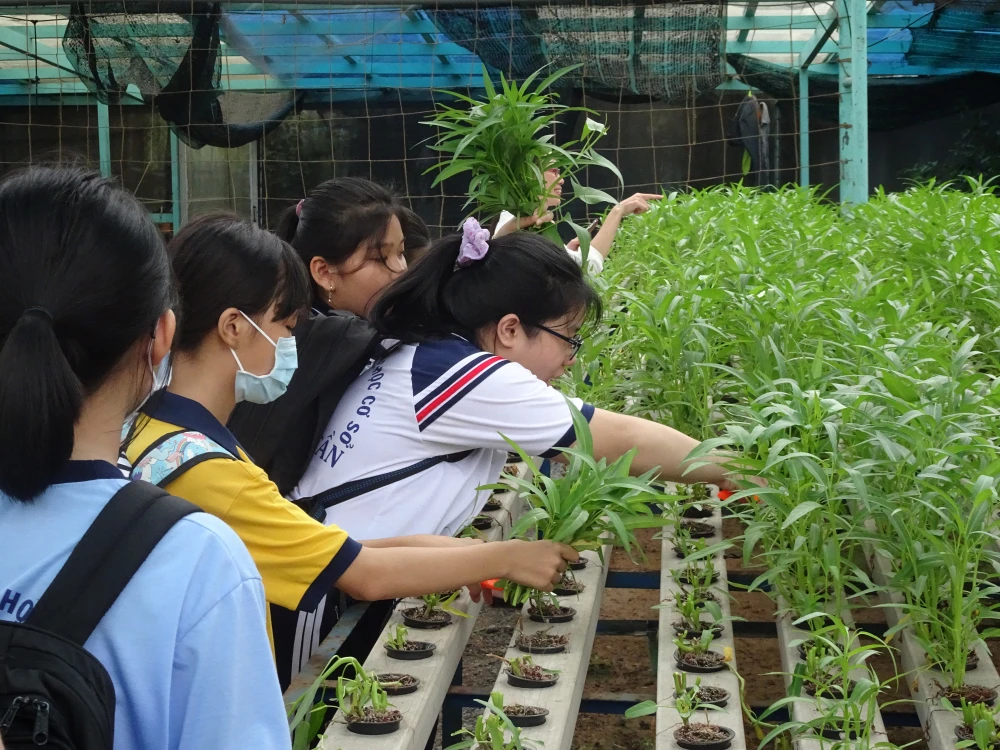 Học sinh hào hứng trải nghiệm trồng rau, chăm sóc thú qua Cuộc thi “Văn hay chữ tốt” do quận Tân Bình tổ chức ảnh 5 Học sinh hào hứng trải nghiệm trồng rau, chăm sóc thú qua Cuộc thi “Văn hay chữ tốt” do quận Tân Bình tổ chức ảnh 5