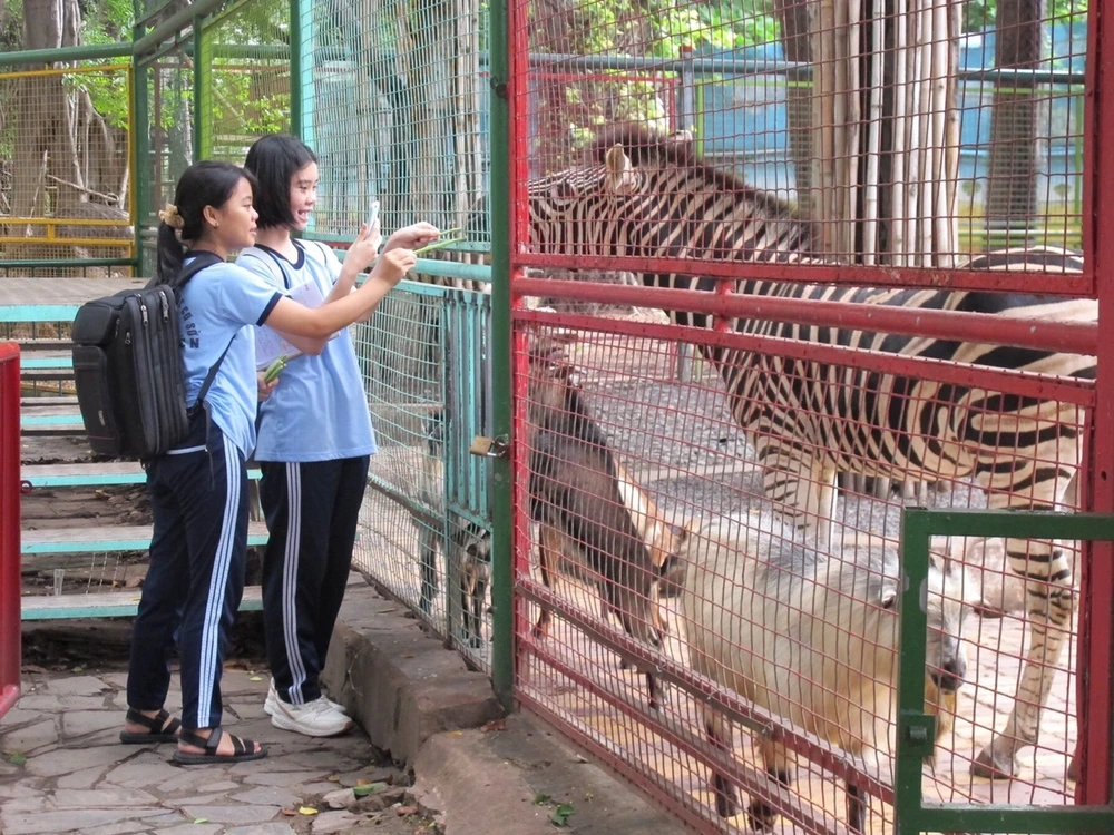 Học sinh hào hứng trải nghiệm trồng rau, chăm sóc thú qua Cuộc thi “Văn hay chữ tốt” do quận Tân Bình tổ chức ảnh 7 Học sinh hào hứng trải nghiệm trồng rau, chăm sóc thú qua Cuộc thi “Văn hay chữ tốt” do quận Tân Bình tổ chức ảnh 7