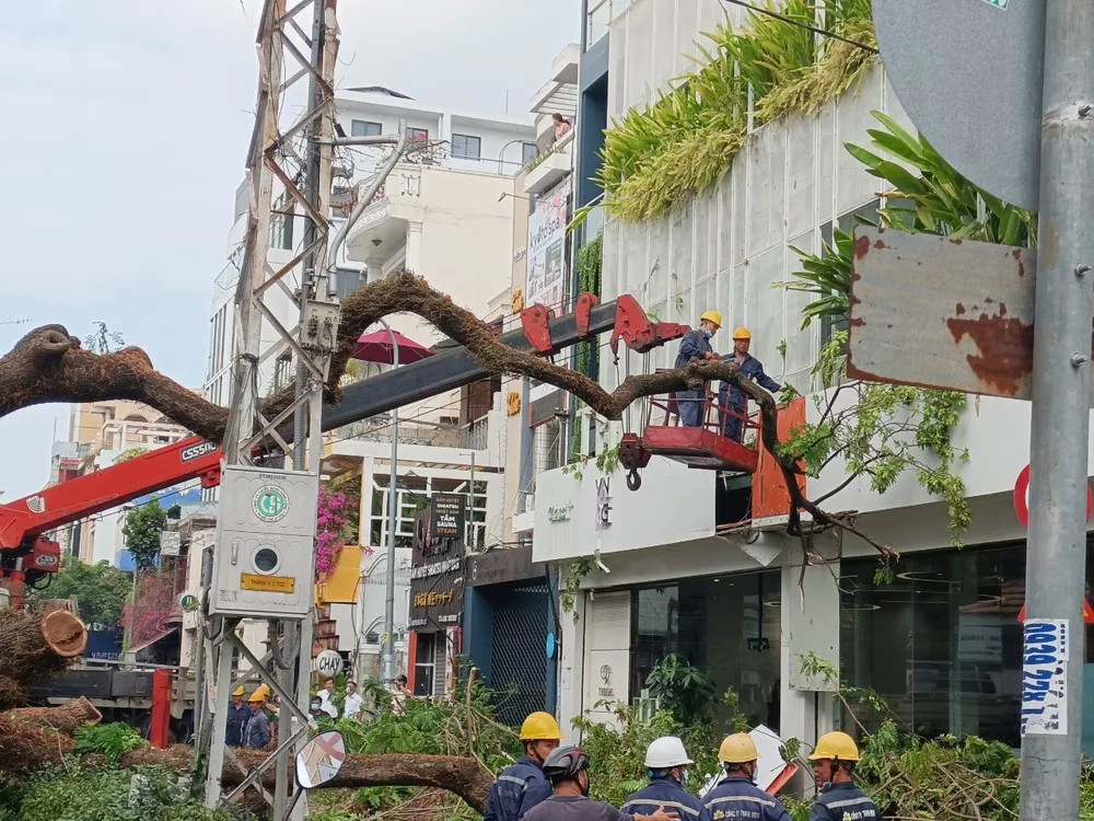 Cây xanh bật gốc, ngã đè học sinh tại cổng Trường THCS Trần Văn Ơn vào sáng 3-4 Cây xanh bật gốc, ngã đè học sinh tại cổng Trường THCS Trần Văn Ơn vào sáng 3-4