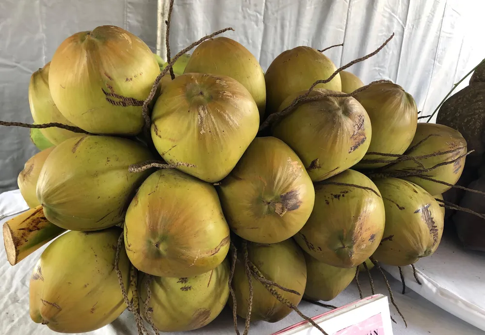 Khai mạc Ngày hội du lịch vườn trái cây Tân Lộc 2019 ảnh 5