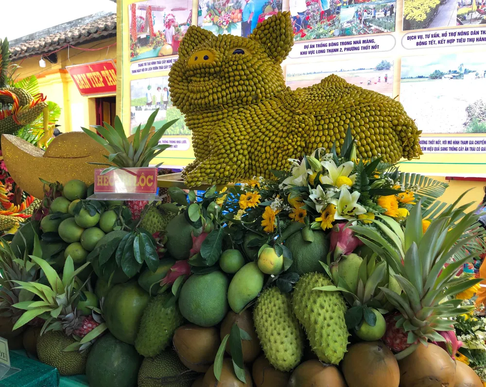 Khai mạc Ngày hội du lịch vườn trái cây Tân Lộc 2019 ảnh 2