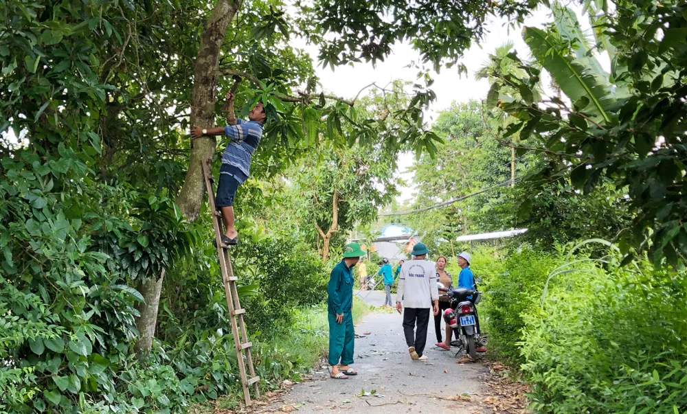 Người dân Lai Vung dọn đường sá đón ông Bảy trở về ảnh 4