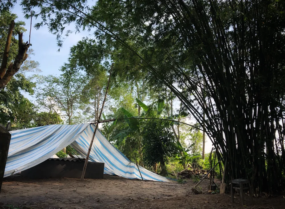 Người dân Lai Vung dọn đường sá đón ông Bảy trở về ảnh 9