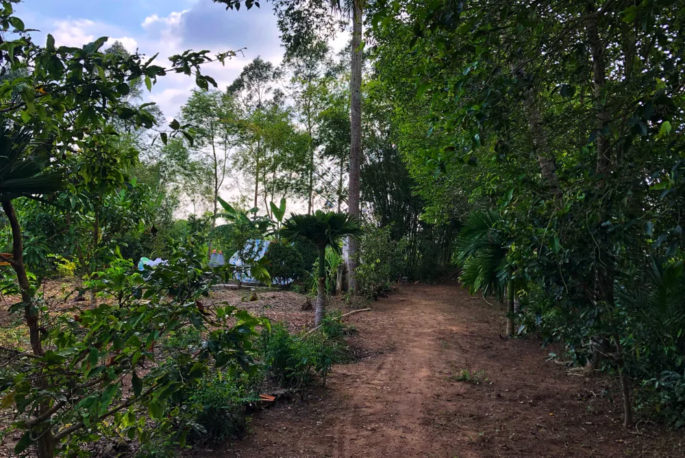 Người dân Lai Vung dọn đường sá đón ông Bảy trở về ảnh 8