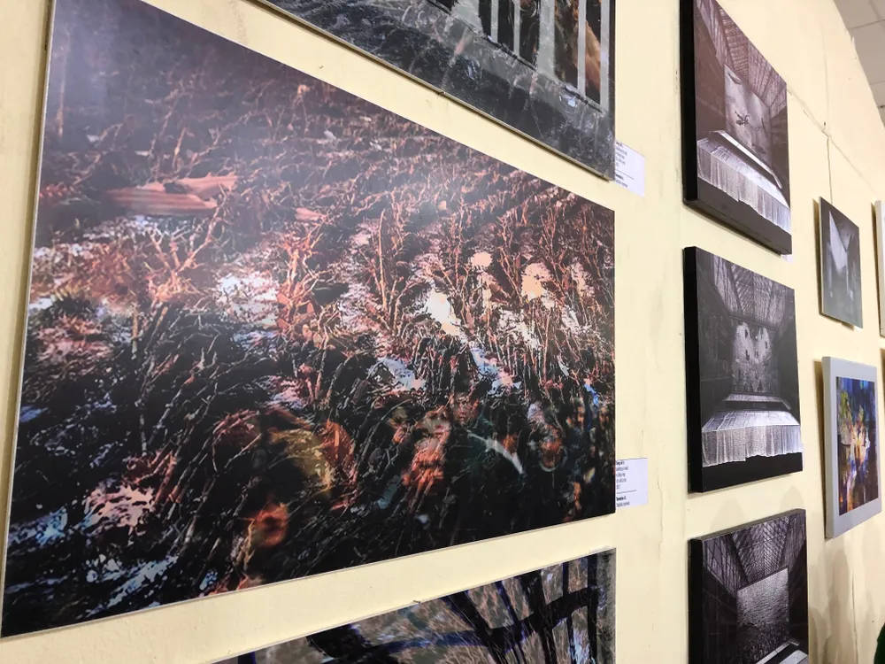 Triển lãm tranh đương đại Hungary tại Cần Thơ ảnh 2