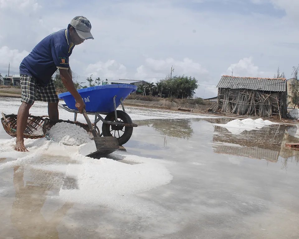 Giá muối cao nhưng sản lượng thấp do ảnh hưởng thời tiết