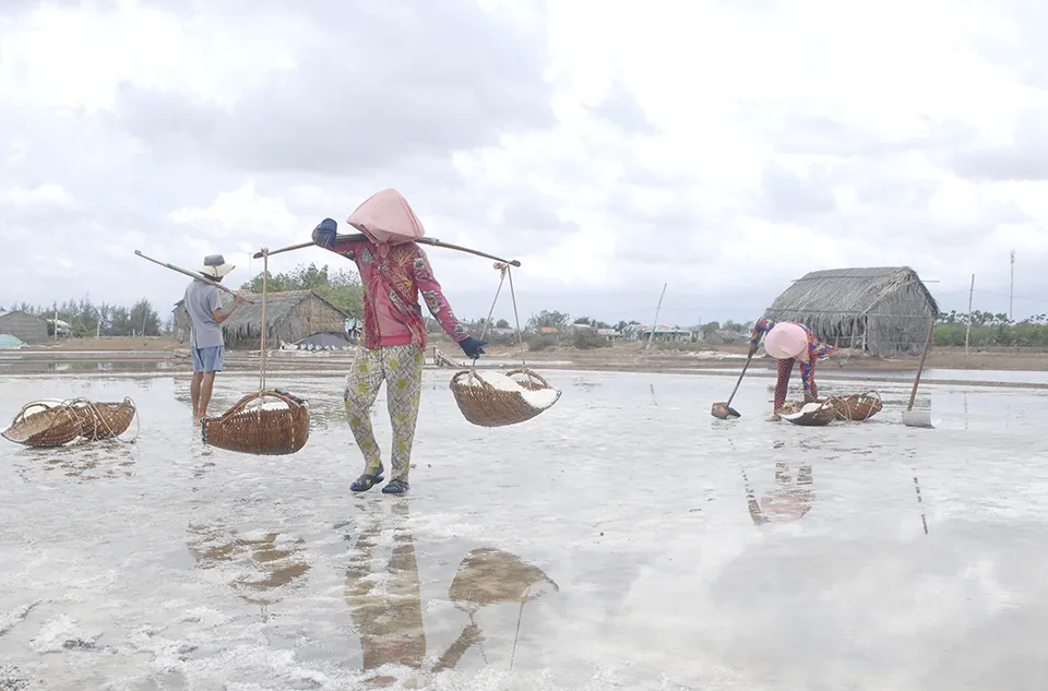 Bảo Thạnh là xã có diện tích muối lớn nhất tại Ba Tri
