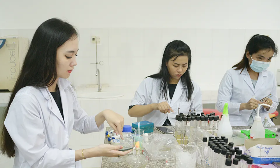 Thực hành trong phòng thí nghiệm Thực hành trong phòng thí nghiệm