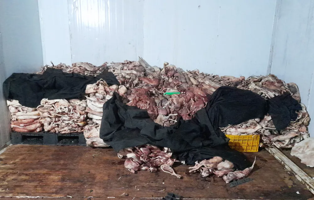 Tang vật vụ việc