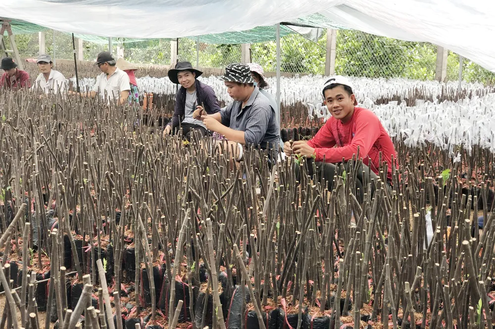 Khuyến khích các cơ sở sản xuất, kinh doanh giống đảm bảo chất lượng trên địa bàn Khuyến khích các cơ sở sản xuất, kinh doanh giống đảm bảo chất lượng trên địa bàn