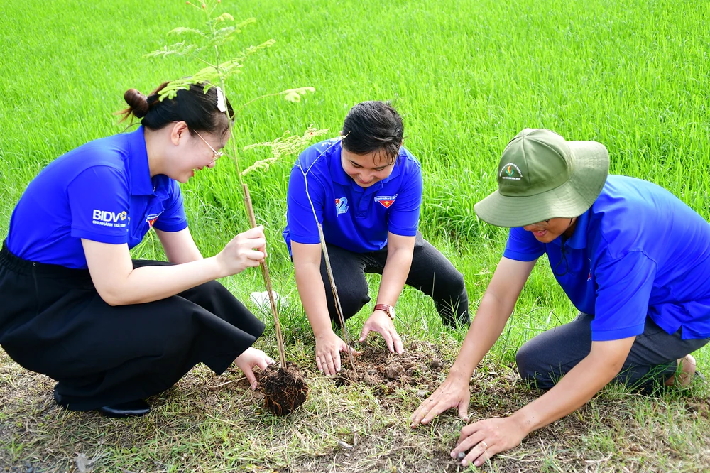 Lực lượng đoàn viên thanh niên trồng thêm cây xanh trên các tuyến đường nông thôn HBT_0391.JPG