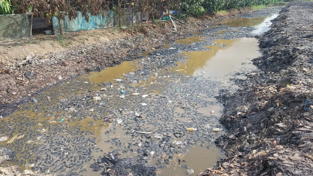 Discharge area. Photo: CACC 20250527_144550.jpg