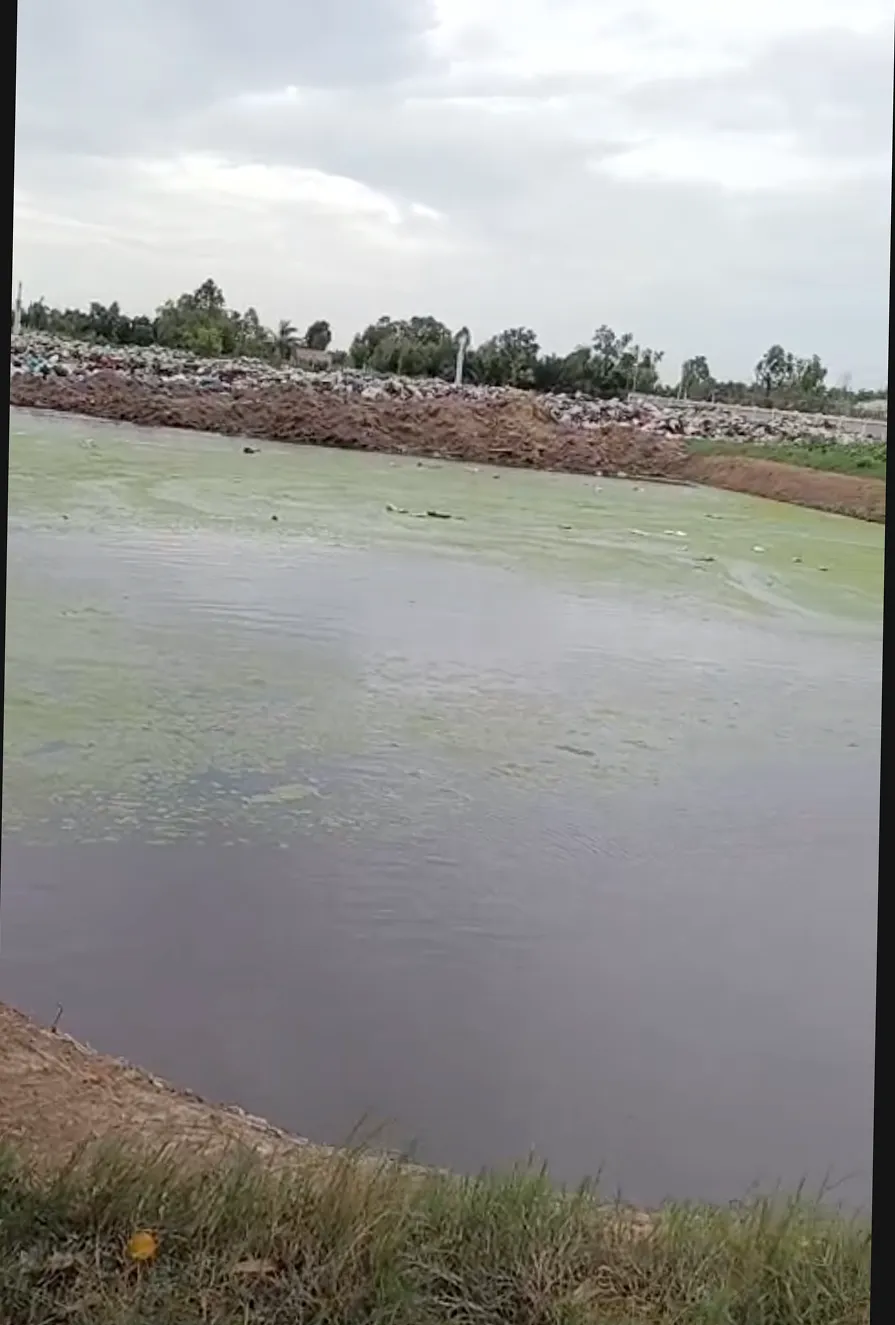 The leachate pond gives off a foul smell. Photo: NDCC Screenshot 2025-07-21 at 17.44.11.png