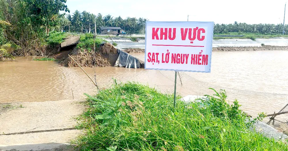 SẠT LOT.jpg
