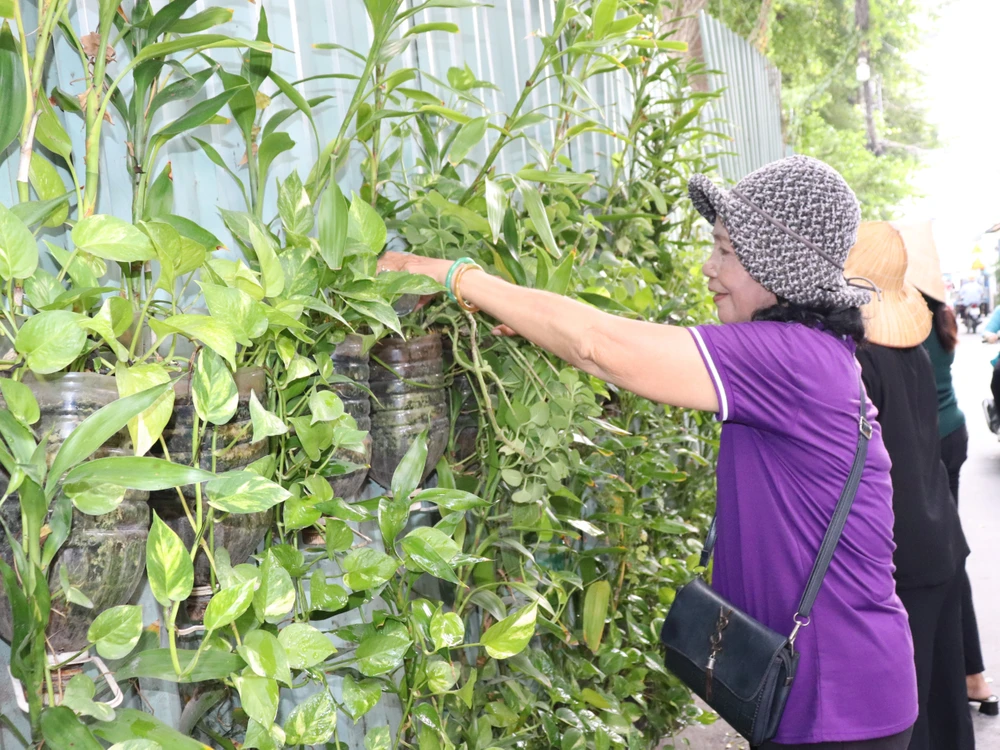 Người dân chung tay thực hiện mảng xanh tại khu dân cư IMG_5854.JPG