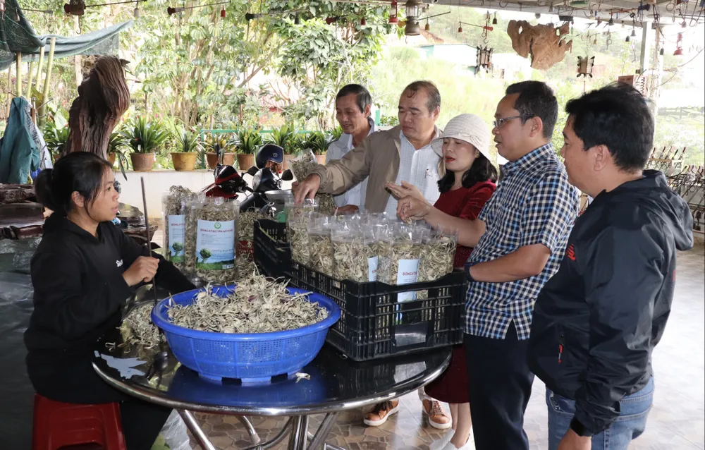 Đoàn học tập quy trình đóng gói Atisô D9DC56EF-D2D0-43EB-8391-491B501F33CC.jpeg