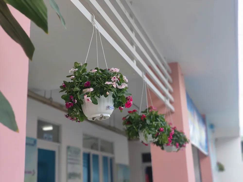 Hoa, mảng xanh được nhiều đơn vị trồng và chăm sóc Hinh 2.jpg