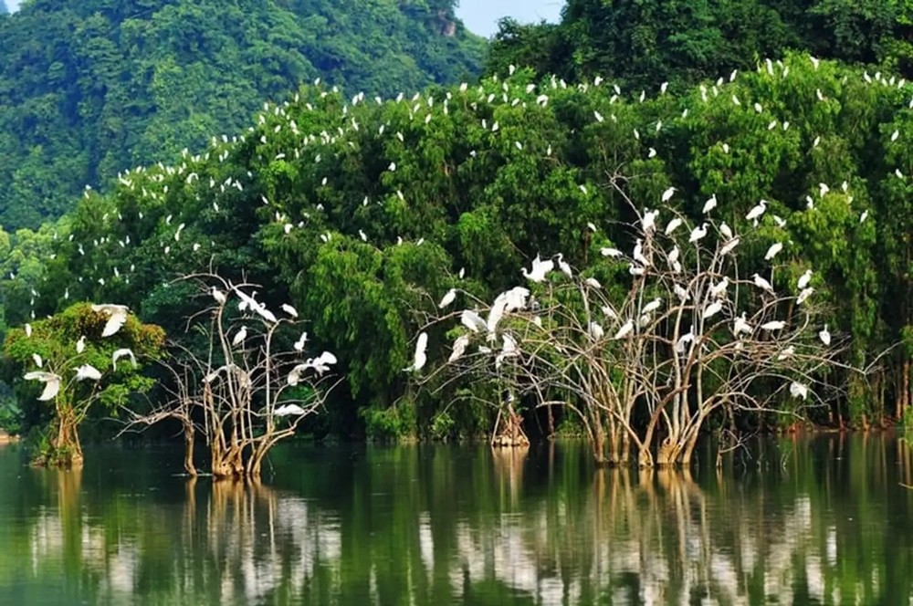 薄寮美丽风景。 z5640322350361_001d50ca3e4647a82440afd58a844d33.jpg
