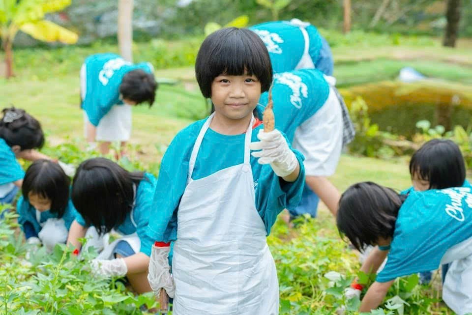 儿童们学习种植果蔬与收获。