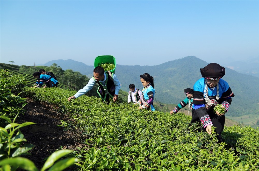 lay nguoi dan lam trung tam 3.jpg