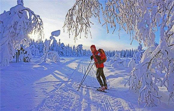 挪威滑雪仙境。 z5841645240379_978830ef06d3e9e6f2f1e06494013b64.jpg