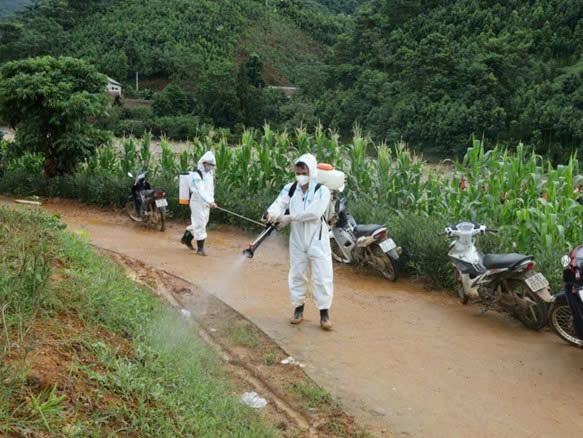 洪水过后喷洒消毒,清洁环境。