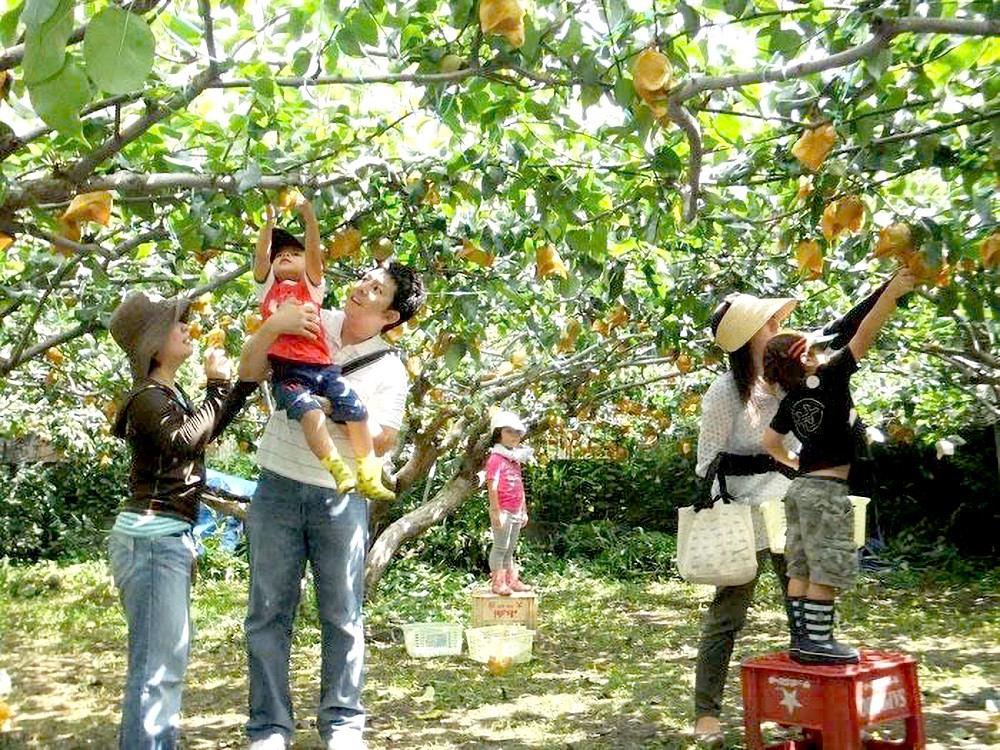 20-12 z6137388955223_7fbfd78764ee77dac3cb6f889bc5f679.jpg