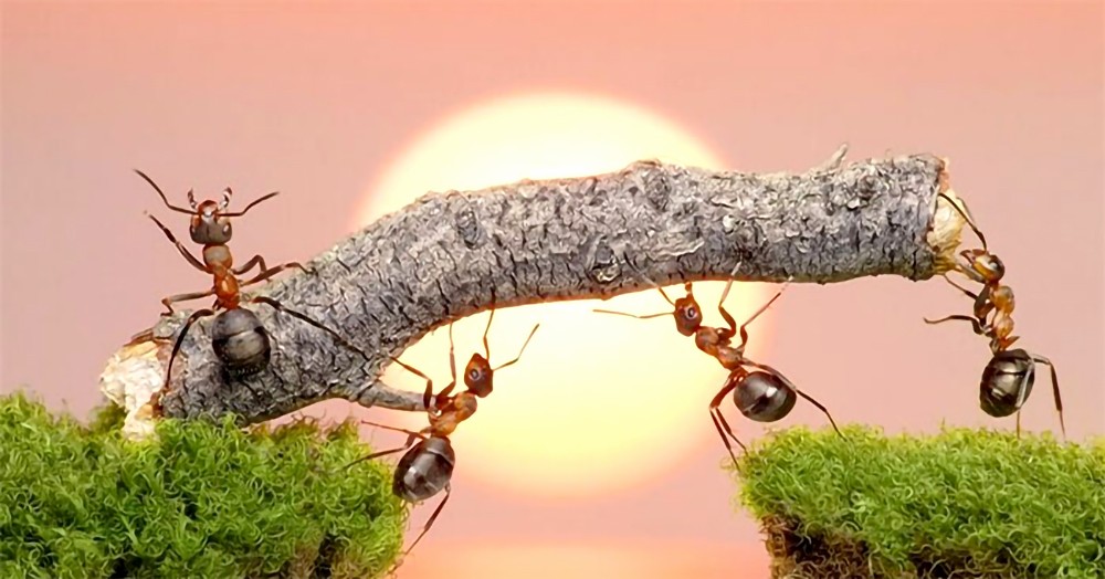 社会不会辜负努力拼搏的人