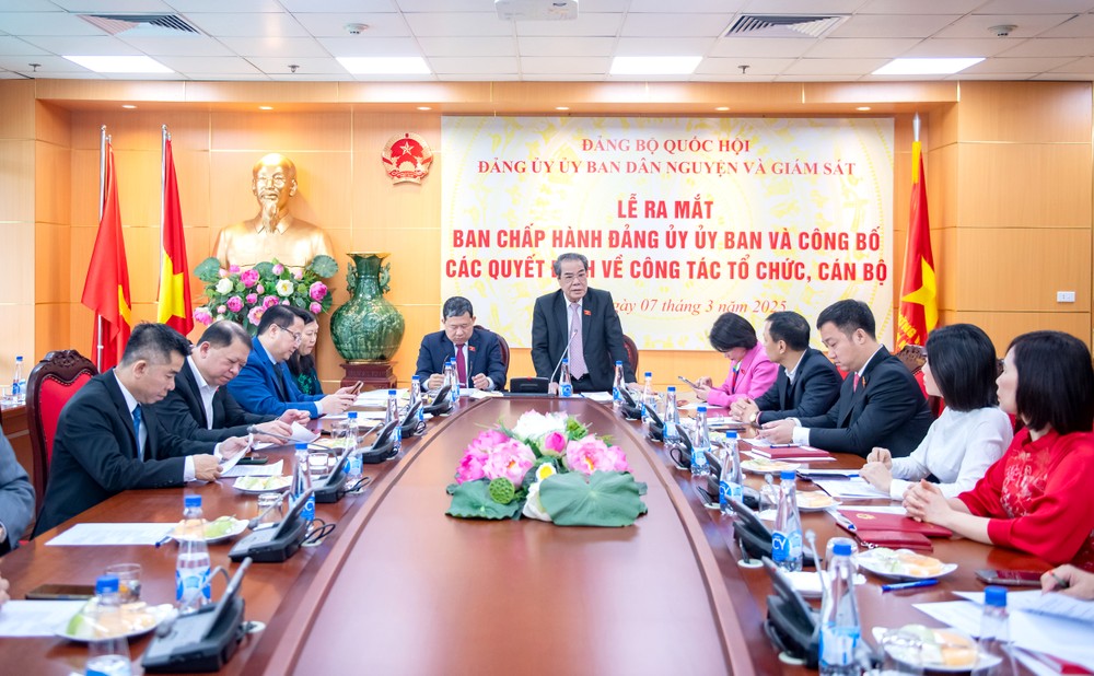 2025年3月8日简讯