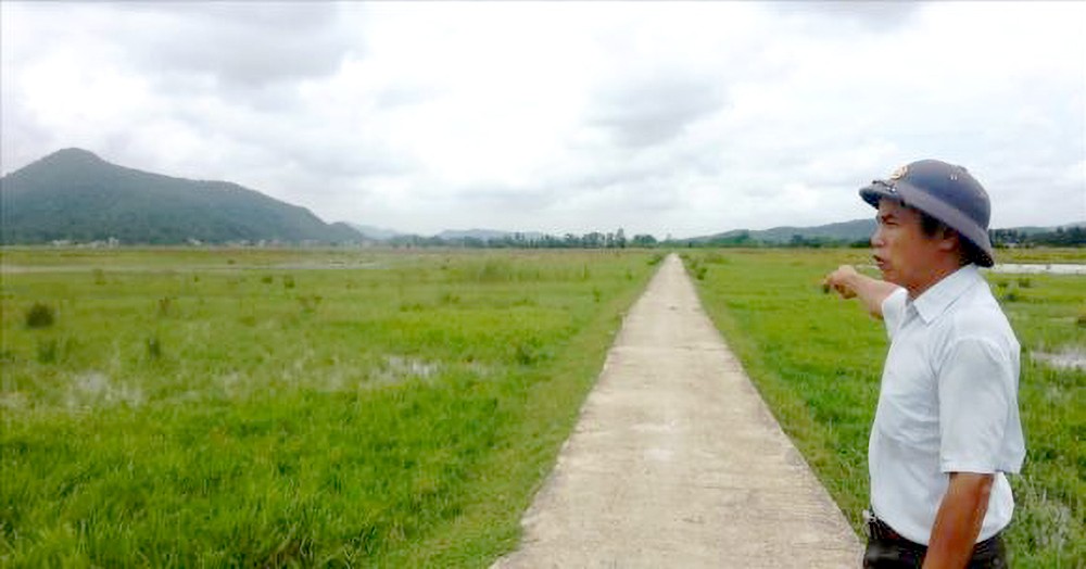 被弃置的土地一隅。