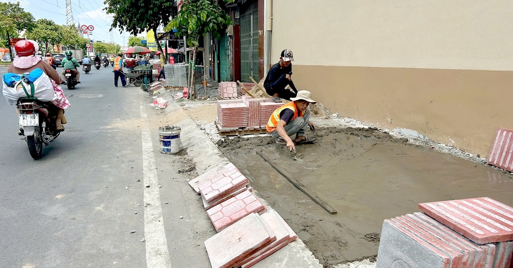 整饬人行道损害树木将被严惩